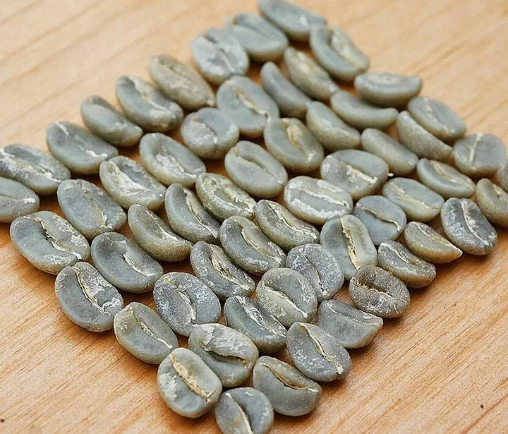 دان سبز قهوه رست نشده