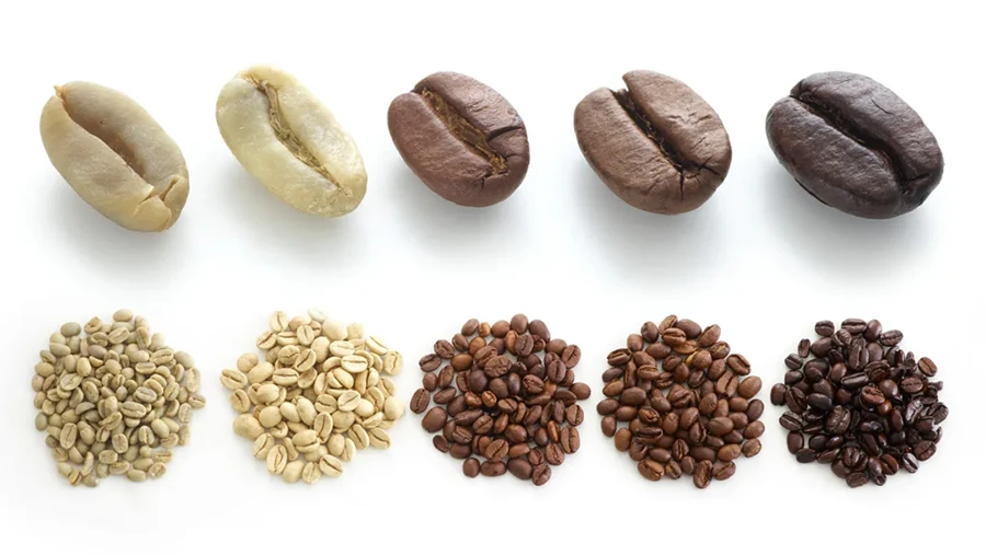 انواع رست دانه قهوه