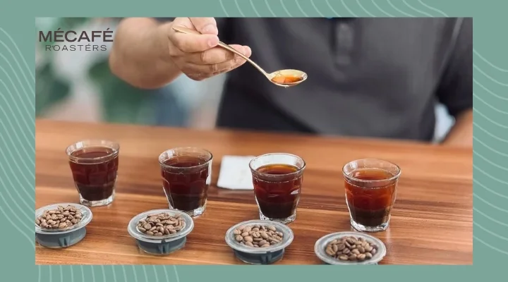 قاشق کاپینگ قهوه