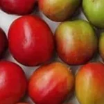 گیلاس قهوه - قهوه سبز
