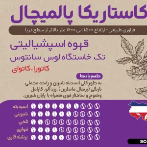 قهوه تخصصی کاستاریکا پالمیچال 250 گرمی
