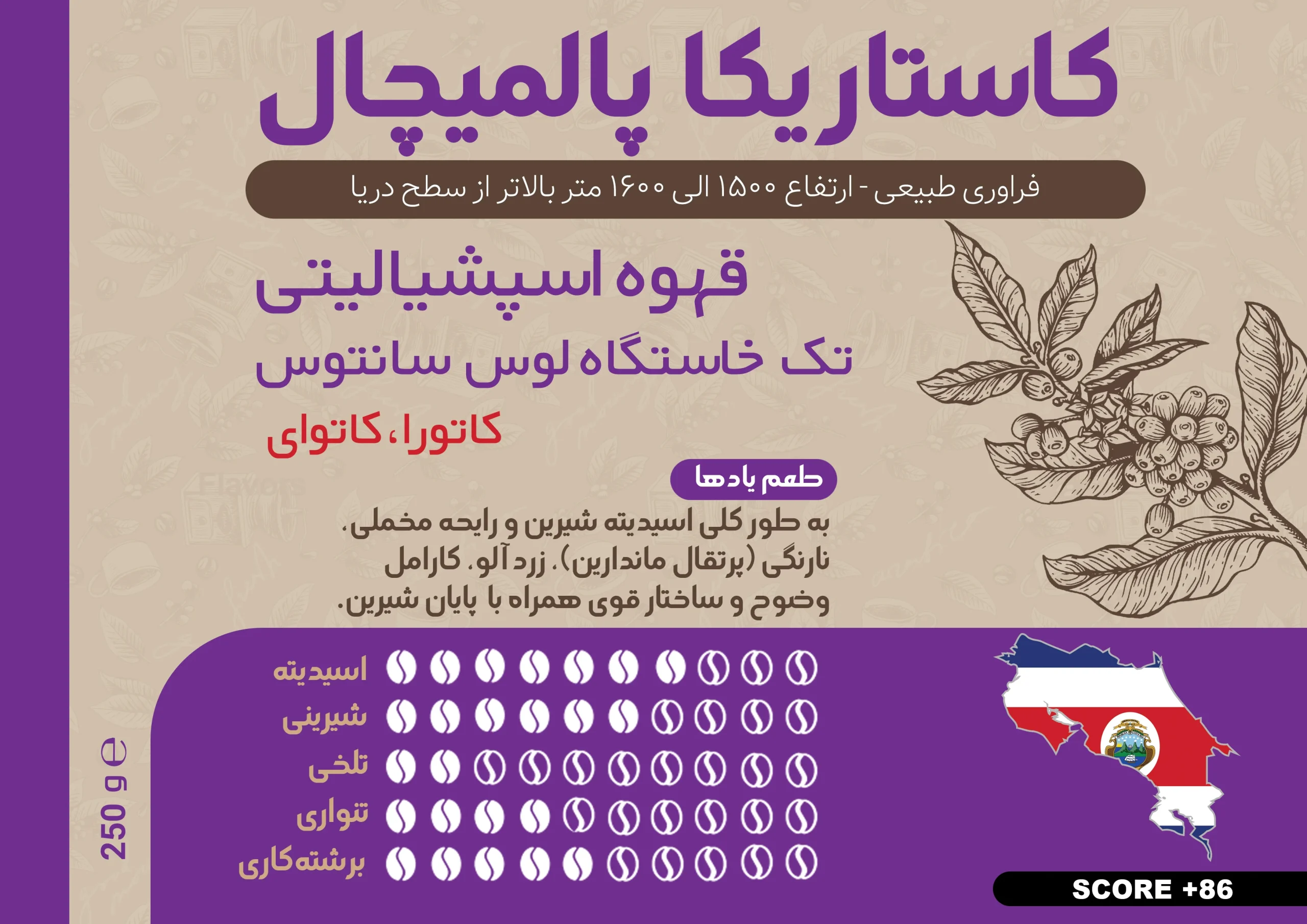 قهوه تخصصی کاستاریکا پالمیچال 250 گرمی