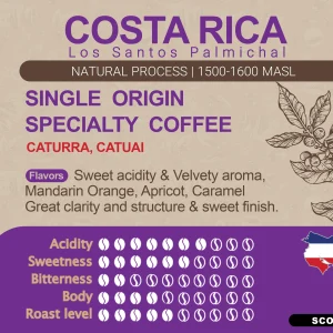 قهوه تخصصی کاستاریکا پالمیچال 250 گرمی