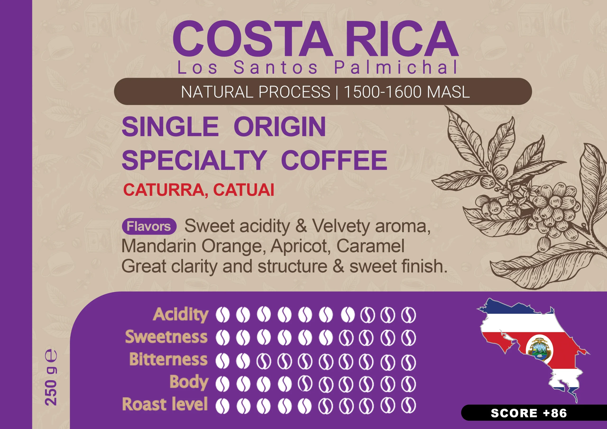 قهوه تخصصی کاستاریکا پالمیچال 250 گرمی