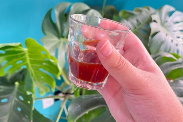 تهیه قهوه با فرنچ پرس