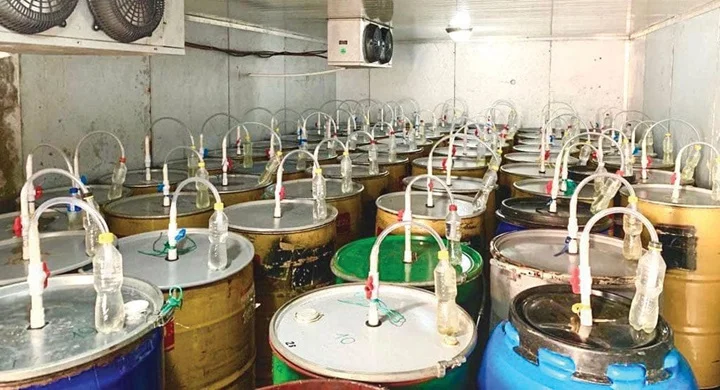 مخزن دربسته مخصوص تخمیر بی‌هوازی قهوه