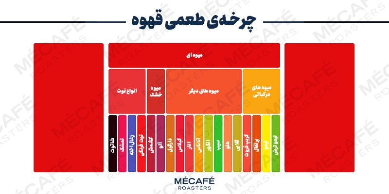 روشهای فرآوری قهوه و تأثیر آن بر طعم