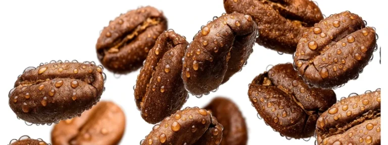 تکنیک RDT قهوه - اسپری آب روی دانه قهوه قبل از آسیاب