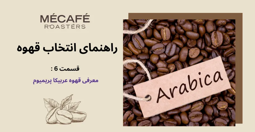 معرفی قهوه عربیکا پریمیوم