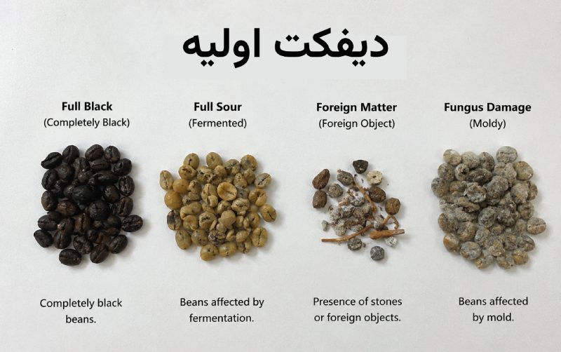دیفکت اولیه قهوه