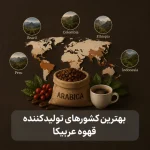 بهترین دان قهوه عربیکا