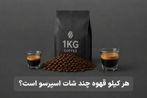 هر کیلوگرم چند شات است